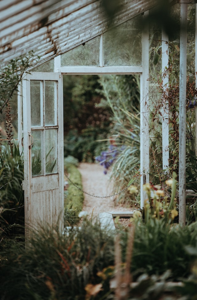 An open greenhouse door leading out into an out of focus path