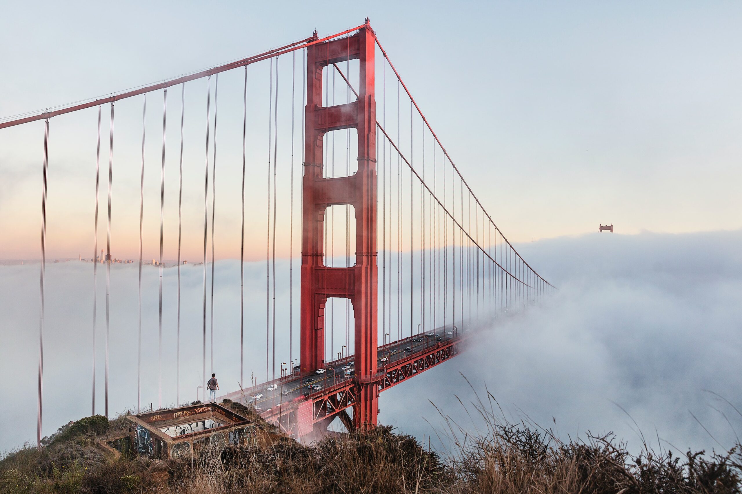 Every literacy we acquire grants us access to things previously unknown, like a bridge leading into clouds so dense we cannot see through them to the other side.