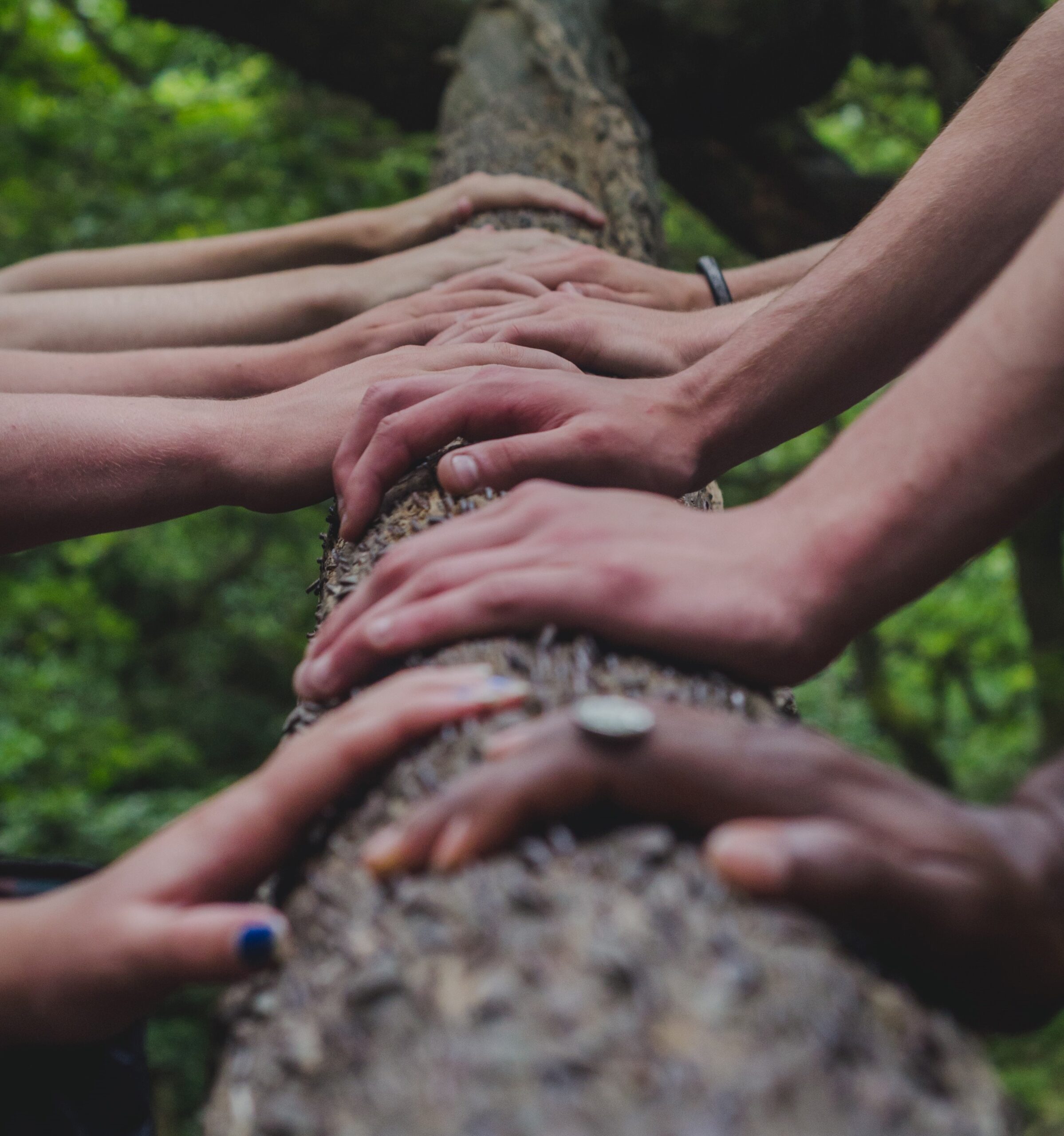 Group of people holding tree trunk