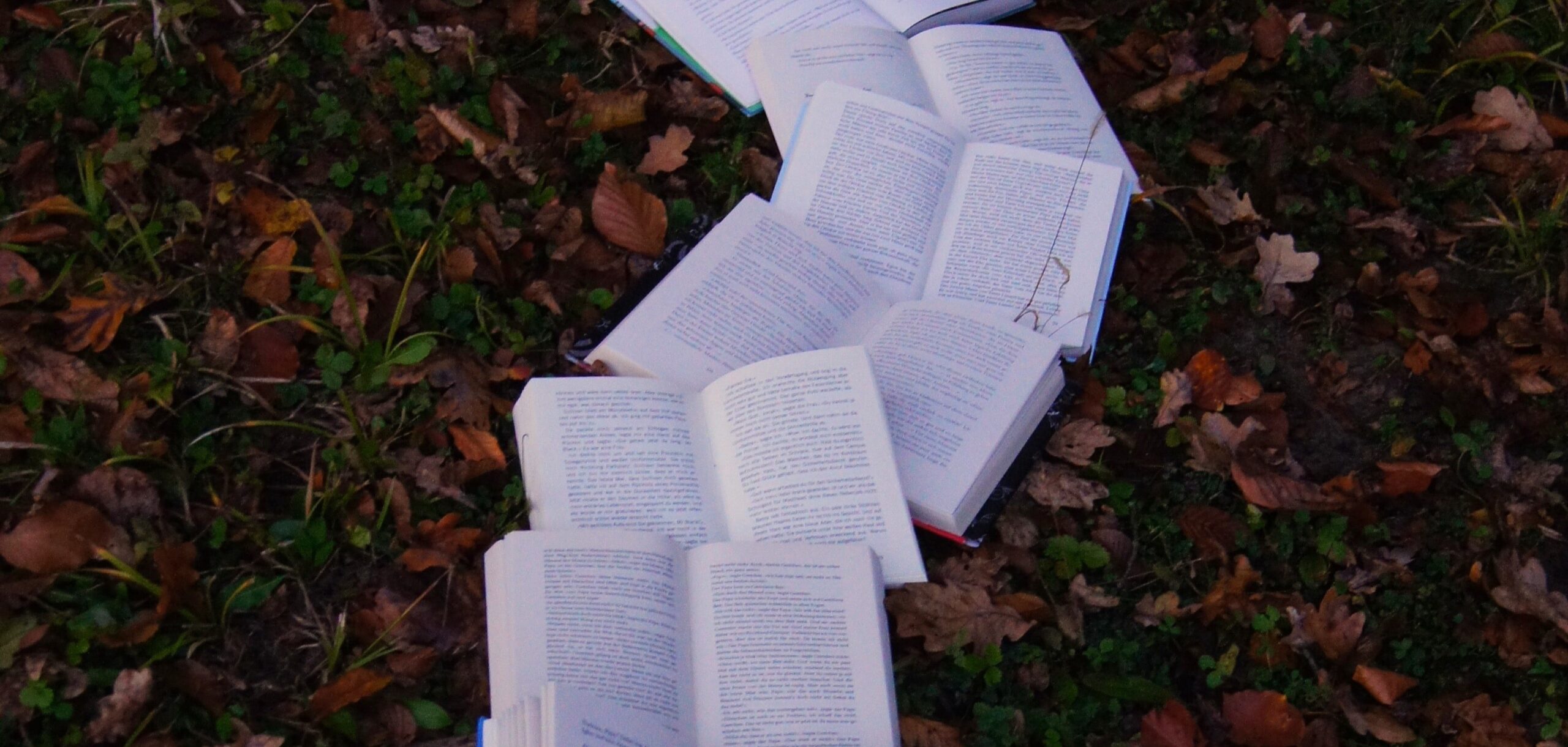 Books on ground photo