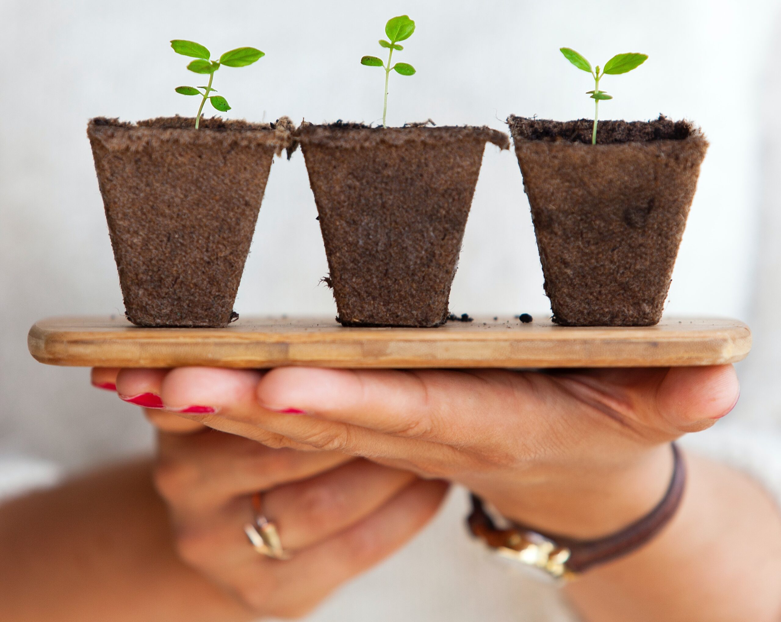 Woman holding plants