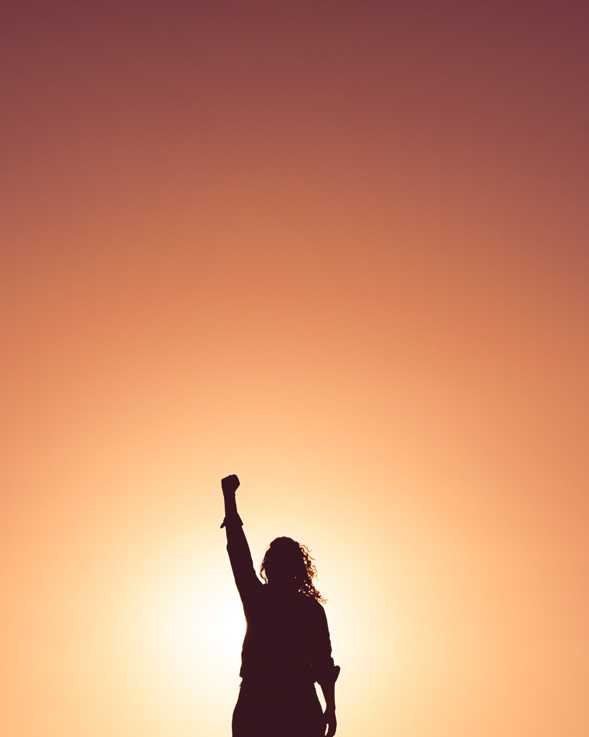 Persons silhouette with fist in the sky, orangey tone in the background.