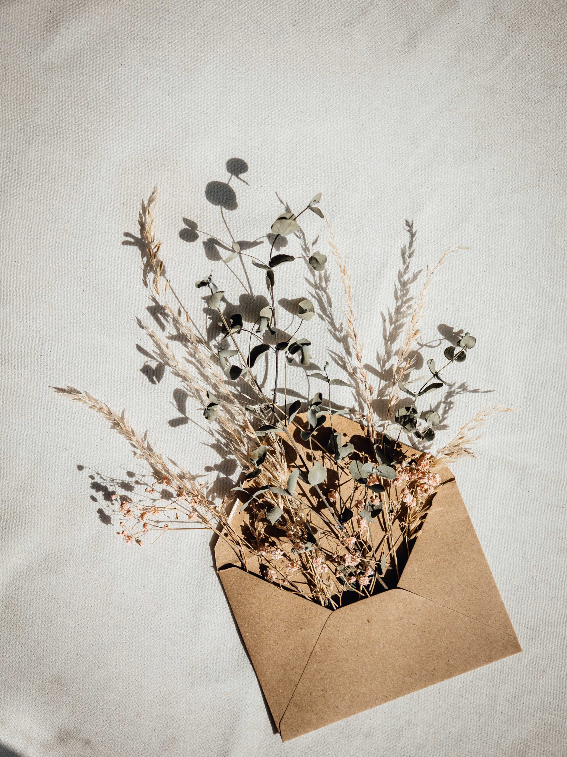 Flowers coming out of empty envelope