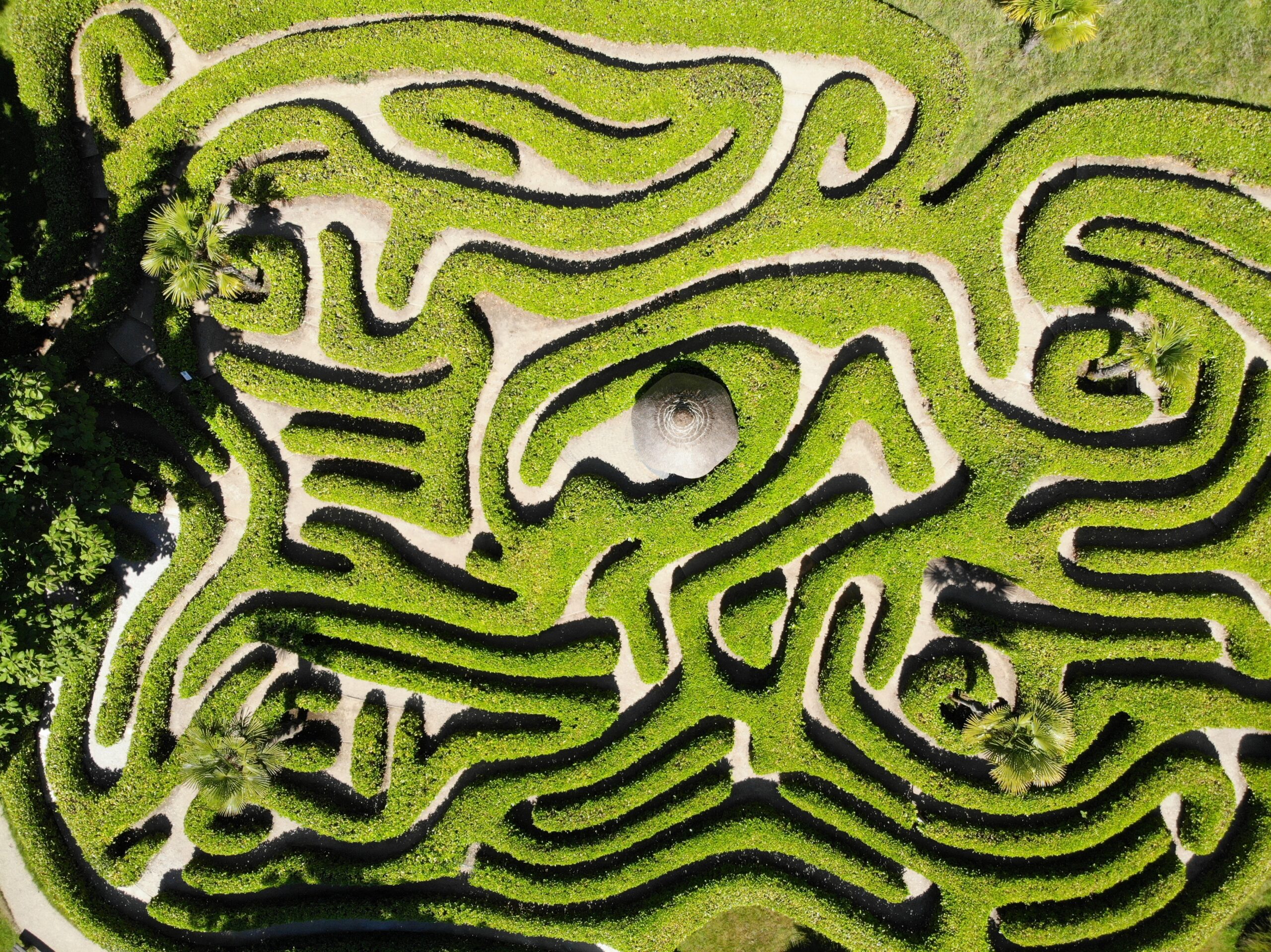 An image of a grass maze with white borders from above