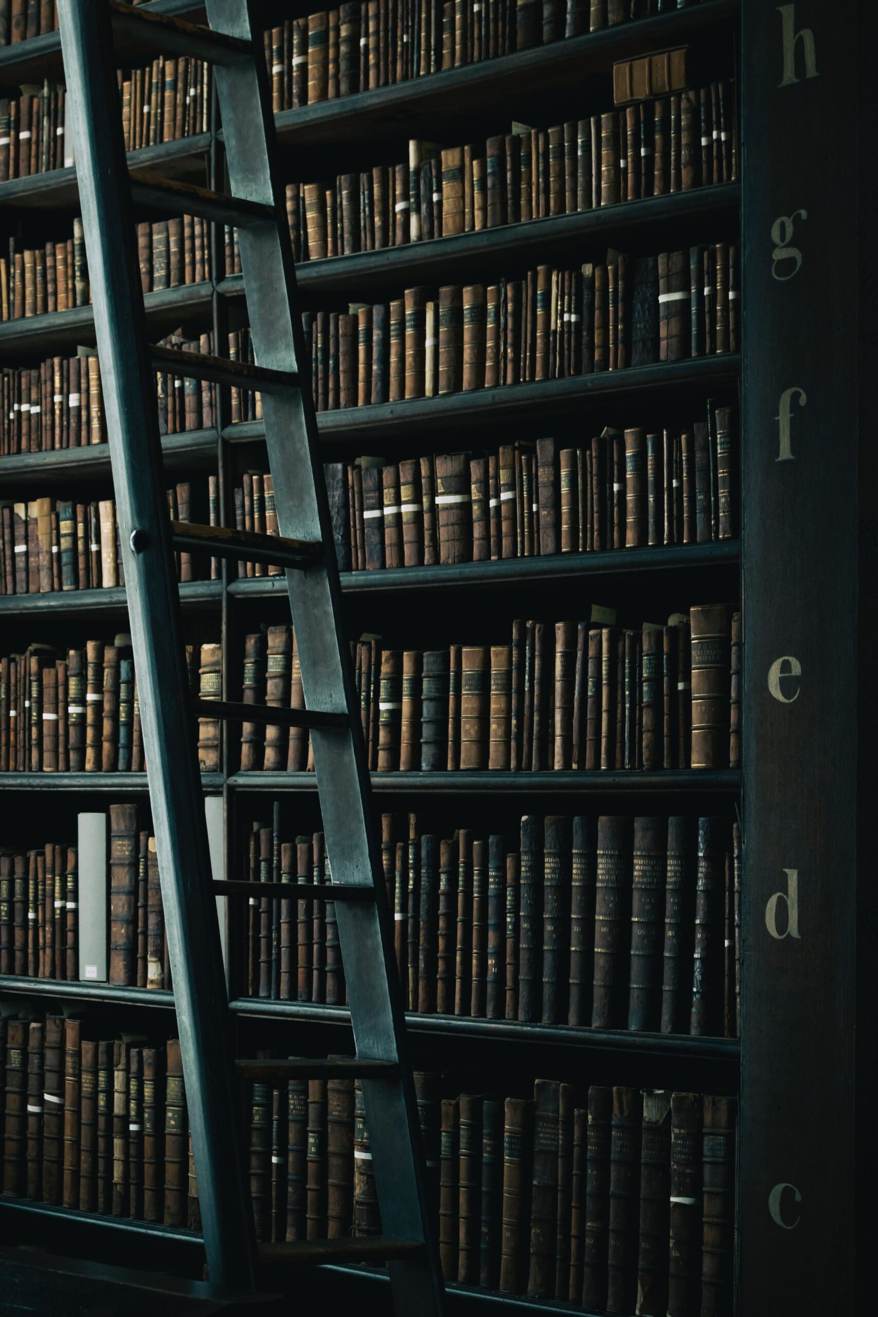 image of large bookshelf with ladder in front of it.