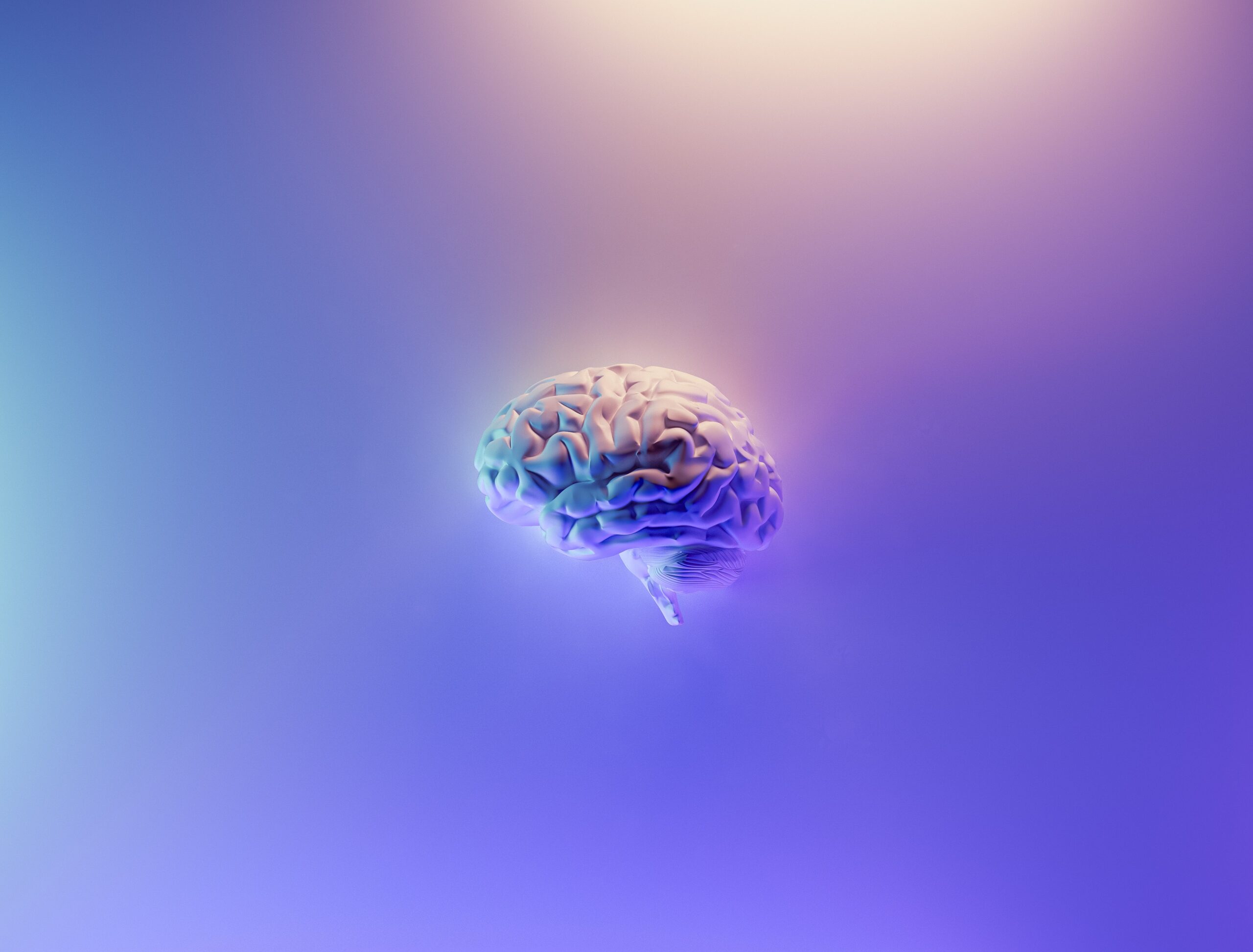 image of 3D rendered brain on blue background