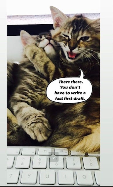 An image of two cats, one with a thought bubble that says, "There there. You don't have to write a first draft."