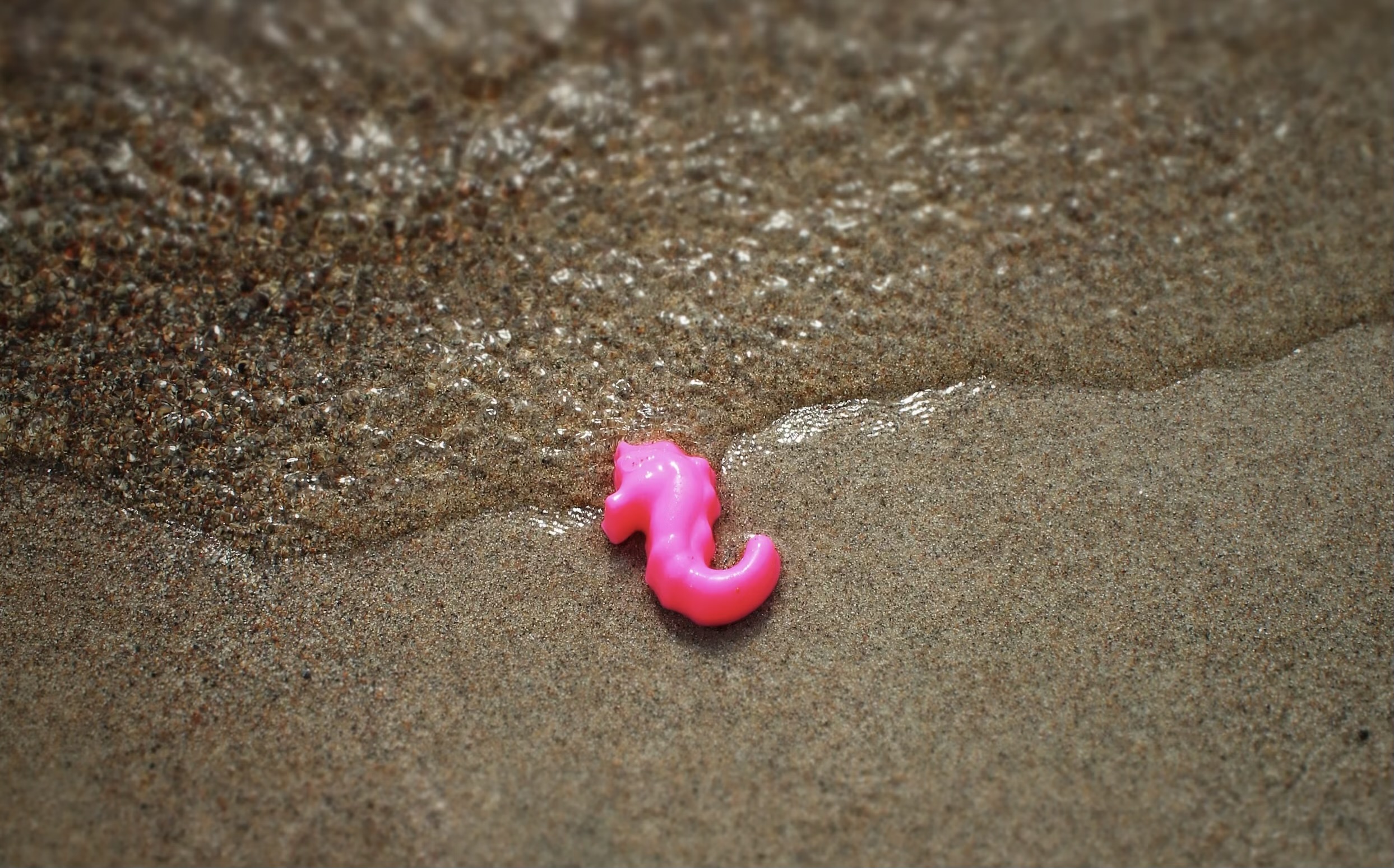 A tiny, bright pink, and plastic toy seahorse washed up on a beach shore.