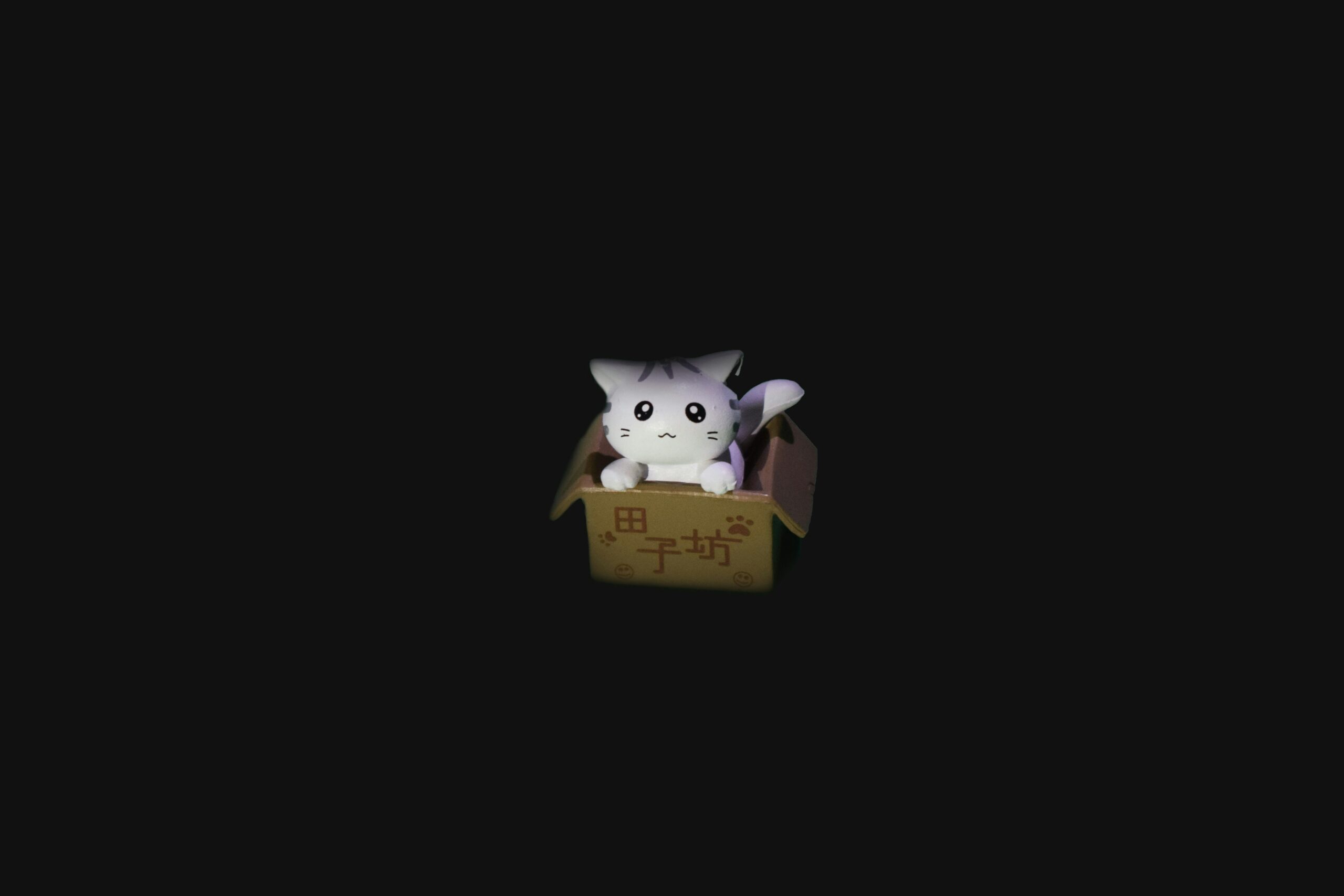 A toy white cat with gray stripes looks up cutely at the camera. It's sitting in a toy cardboard box with Chinese characters on the front, engulfed by darkness.